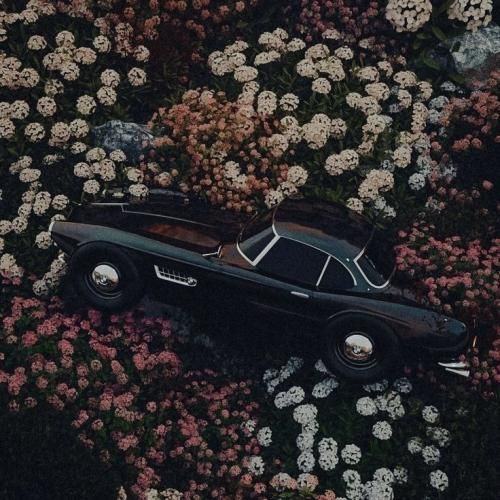 سلام سلام - ترند