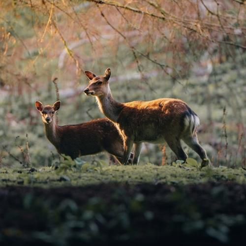 یادم میاد زیر نور ماه گفتم کی بابا