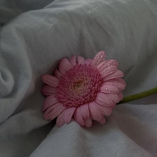 قبل اینکه بری روزام اینجوری نبود