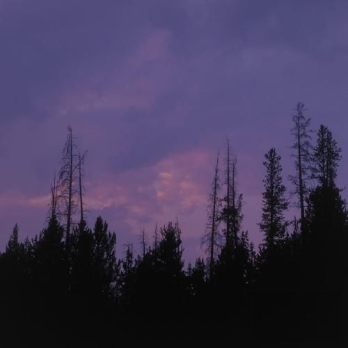 شازده خانوم قابل باشن باید بگم به شعر من