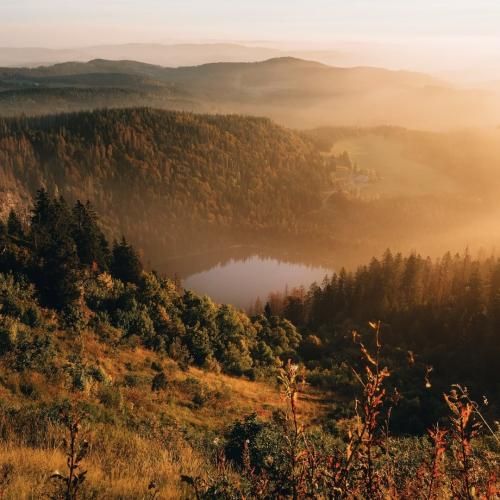 جوجوم دیشب بهم بازم میس داد نمیدونه دیگه