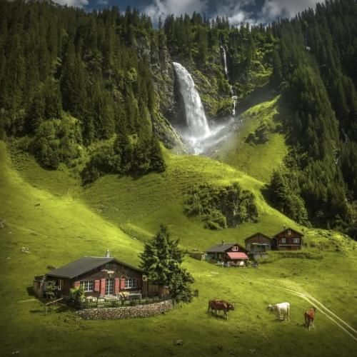 تخت سینمه کینه ها چند ساله حس تنفر