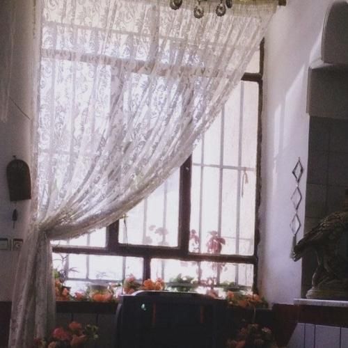 صد میلیون دادم ماشینو صد میلیون چرخ ماشین