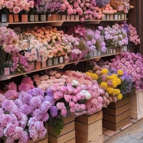 ۲۰۲۴ تریپمون اولد هنوز قیمتمون تند