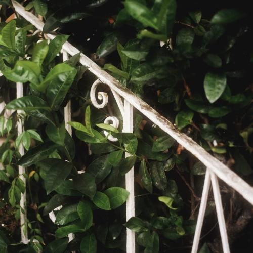 من سیگار نمیکشم که غم هارو پف کنم