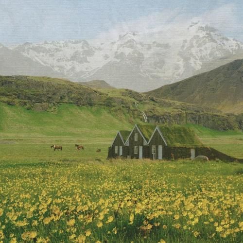 میخونی از داف و دود و گنگ بچه خوشگل با صدای دختر