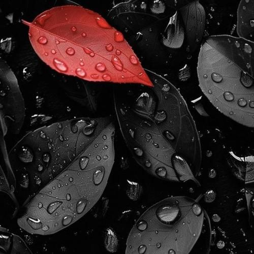 با تو جوزی نبودم تو چتیام اگه هنوز دوسم داری