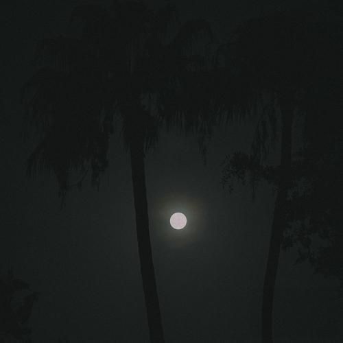 یه حال خوبی دارم مهم نیست فردا چی میشه صدای دختر