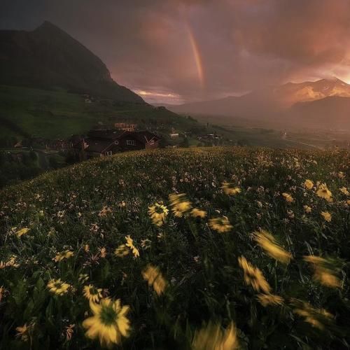 اومدم با نهایت فلکس پرچم بالاست تا دماوند اورست