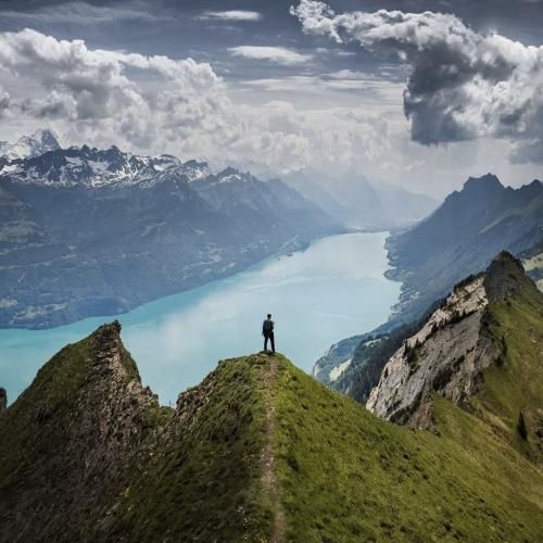 پس جون حاجی بذار کنار غر غراتو بزن تو صورت