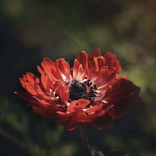 یه روز همه میمیرن تهش پس حقمو میگیرم