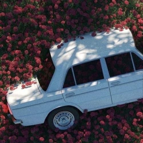 نفهمیدیم چی شد یارو یهو فشاری شد با تماس