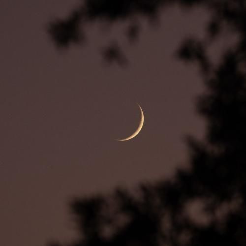 سرحالم هنوز از خونواده تا رفیق بد حسابم