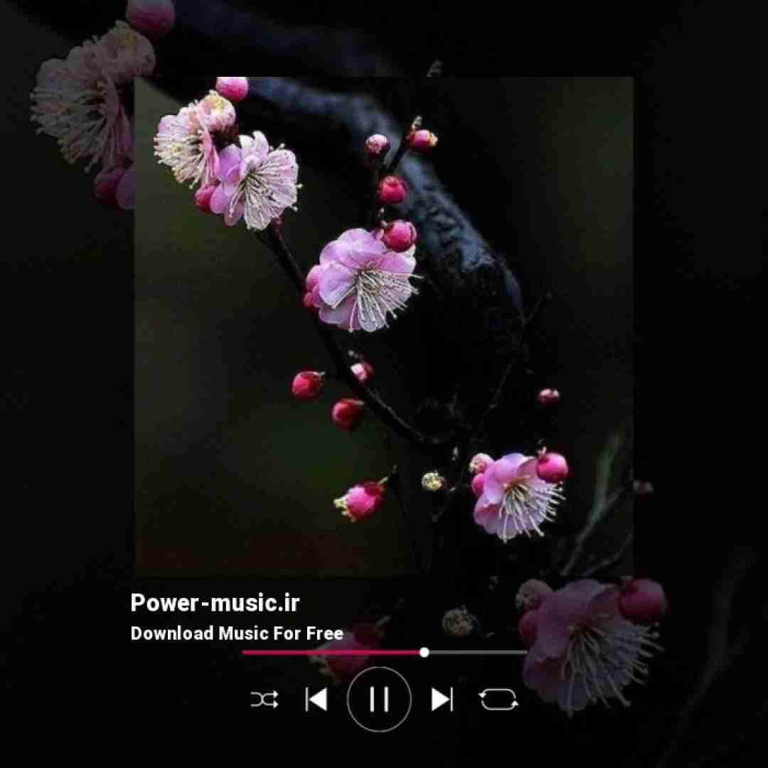 پر صداس دزدگیره رژیم پر در حد تیم حالت حملس