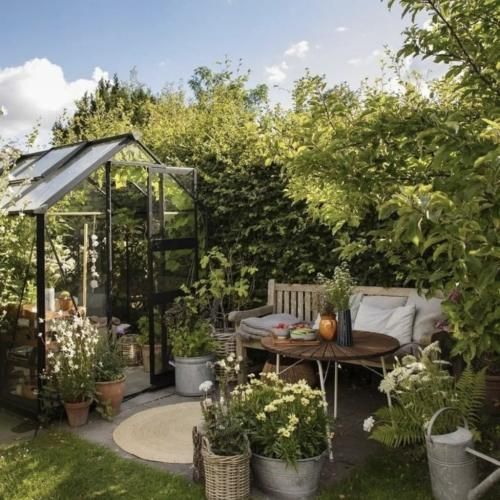 دختر شیرازی جونم دختر شیرازی - ترند