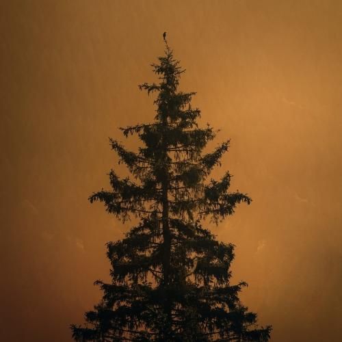 دعوت بشوی در شب جشنی که بدانی معشوقه