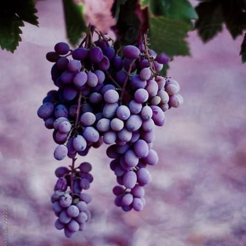 دیو میگه هرچی هستم غلطه شادی و رقصم