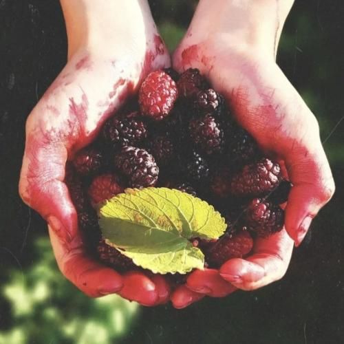 حالا میمیرم اوفینا وای کمرم اوفینا