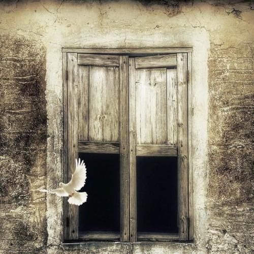 دیگه استرس نمیده ایز تایپینگت مثل چشات