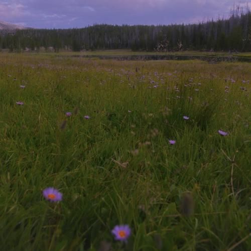 خارجی نبین اگه صفحه چت ان تایم نمیام دورم