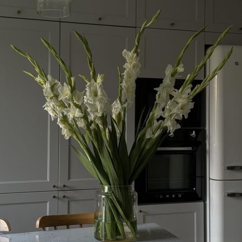 بلاد واسابی چشما داف سبز تر از واسابی