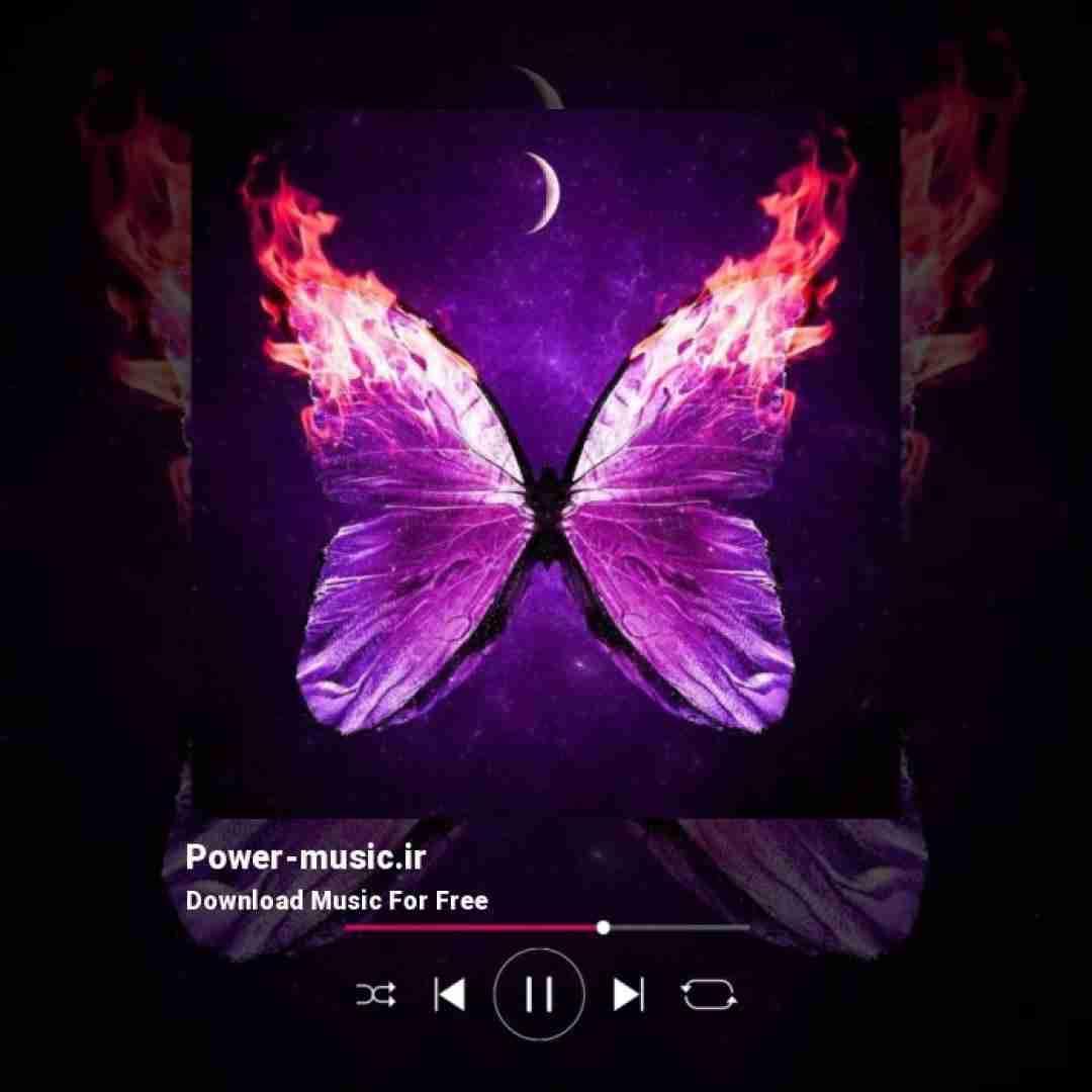 Chehollows Tell Em In Brazil