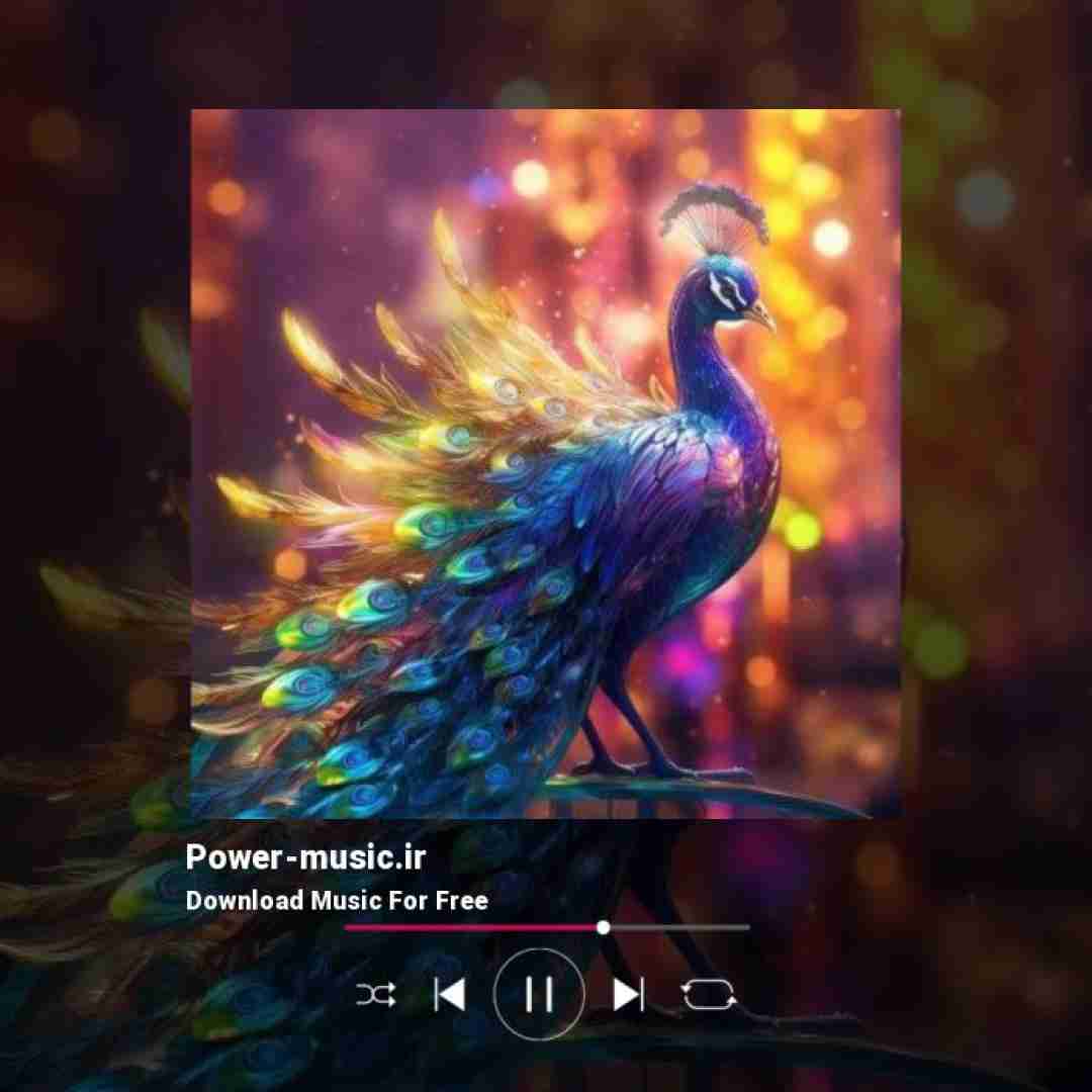  توهم زدی باز که تو فکر کردی ایلان ماسکی تو