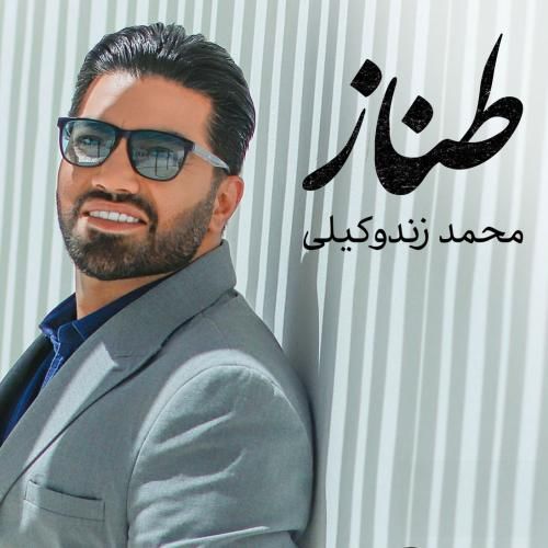 محمد زندوکیلی طناز