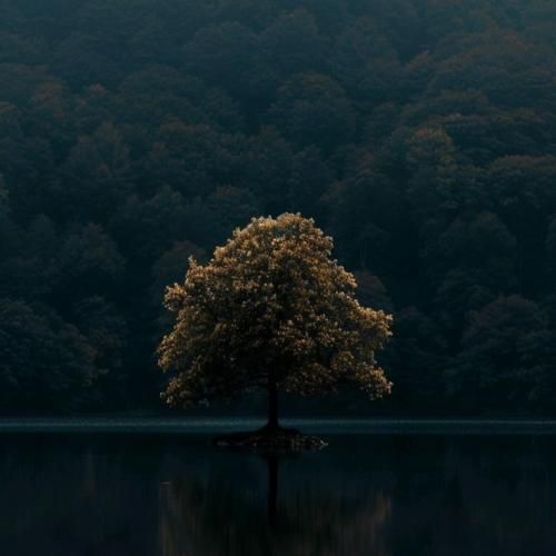  ریسبند میگیرم بک استیج برات هواست باشه