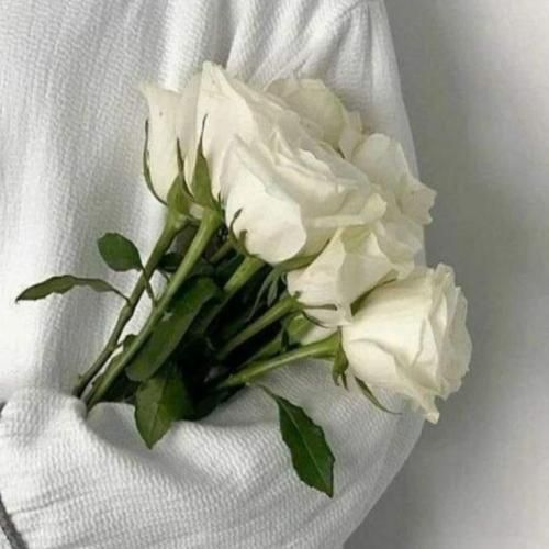  بد جنسم ولی هیچوقت نبوده بد جنسم