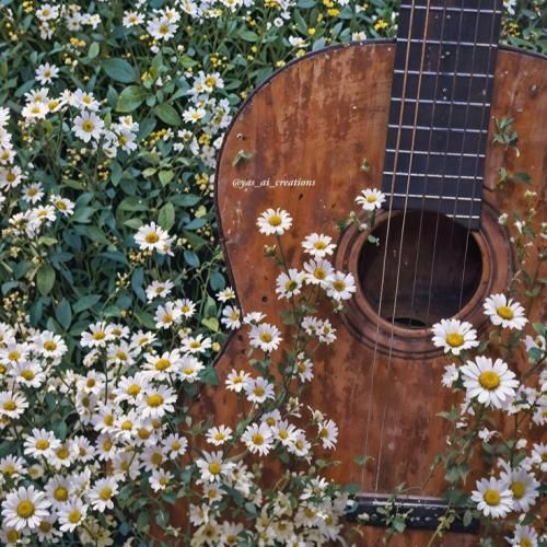 مرد میخوام مرد باشه خوشگل خونسرد باشه