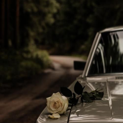 به اون شاخه گلی که رو موهاته نزن دست