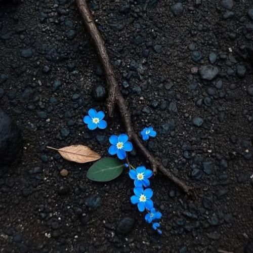 با کی لج میکنی کنار کی صبحتو شب میکنی