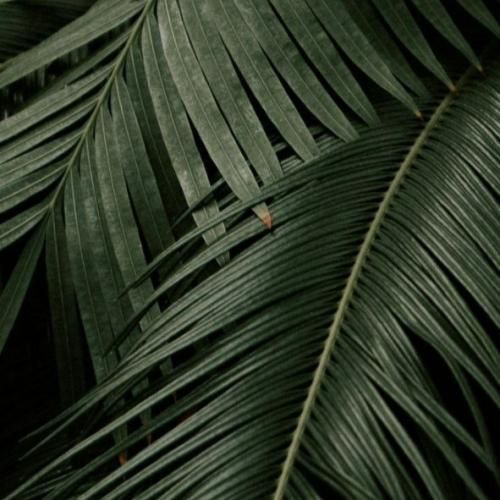 کی بهتر از تو میشه اصلا کی بهتر از ما