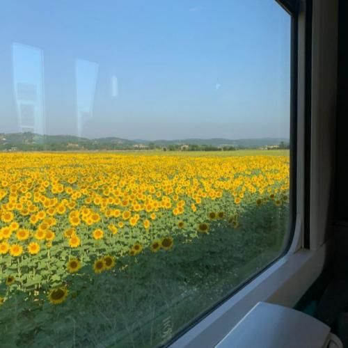 به خودت بیا ناموسا داش بسه همش کار