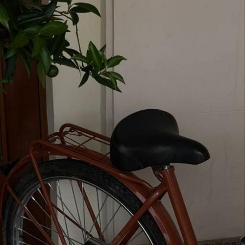 استوری میزاری عاشق چه کمیابه نمیبینی منو که