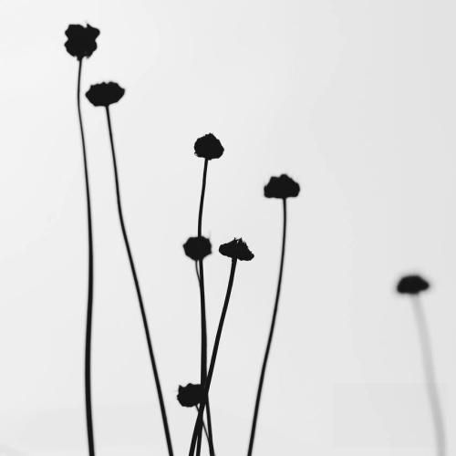 میخوام بیشتر و وان مور سیسم میلفو مامان کش