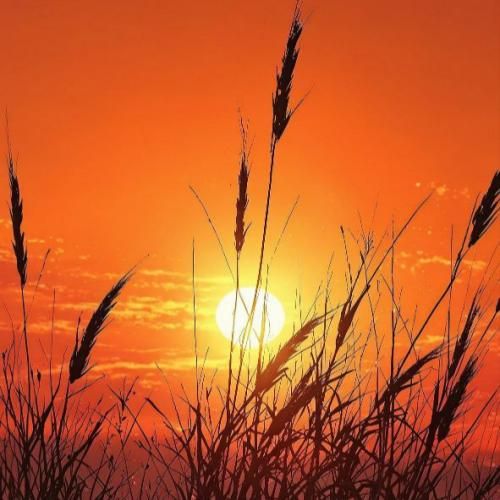  تا تو من نبینم اون روزو نمیمیرم به جز خودت