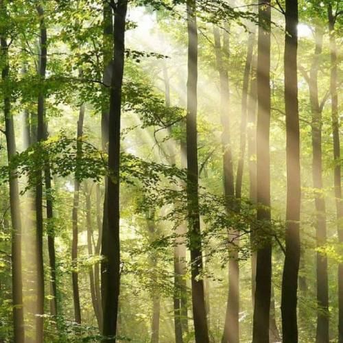  رفتی هرکاری خواستیو کردی حالا میخوای همه چیو