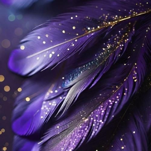 دو تا کلاه کج دستشون بی سیم بستن چهار راه