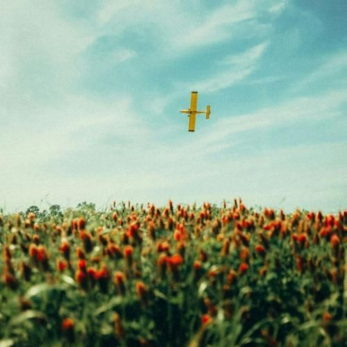 بیدار میشم از خواب سگه بد اخلاقم یه کار کردم