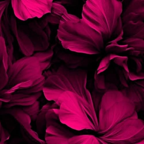 فقط یادت نره کی موند وقتی کسیو نداشتی