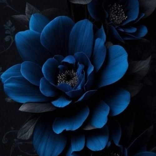 گورو گم کرد دوید رفتش اون مث چی