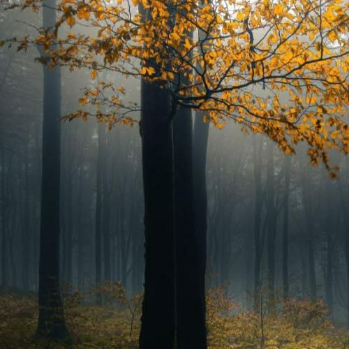 دادم کلی فرصت بهت ولی بازم باختی تو