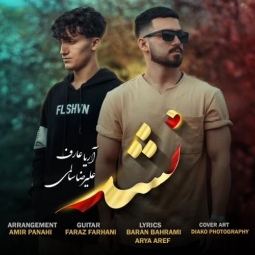 علیرضا سالمی نشد