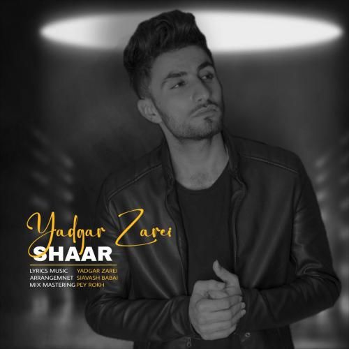 یادگار زارعی شار