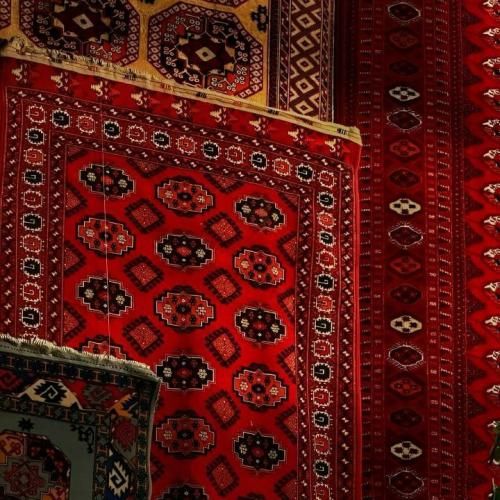 دیوونم شو که من نسختم یه سرم بری یا که