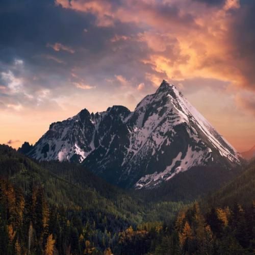  واسه من کوییک سوار تو سیس نیا هیچوقت