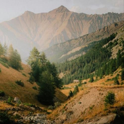  مگه چی بوده تو لیوانم که رد دادم تنده ضربانم