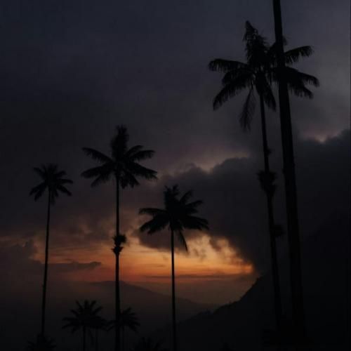 عزیز بشی به کنارم ز عشقت بی قرارم (هوش مصنوعی)